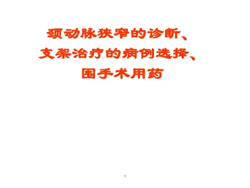 颈动脉狭窄的诊断ppt课件