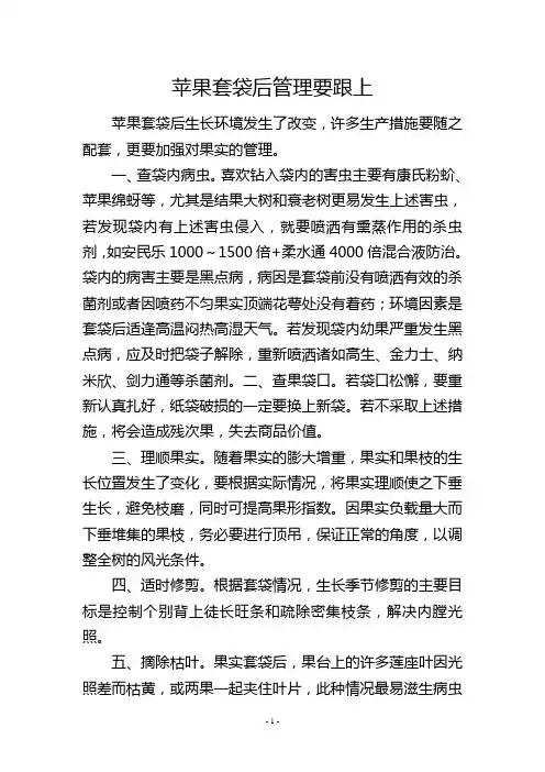 苹果套袋后管理要跟上