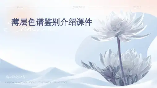 薄层色谱鉴别介绍课件
