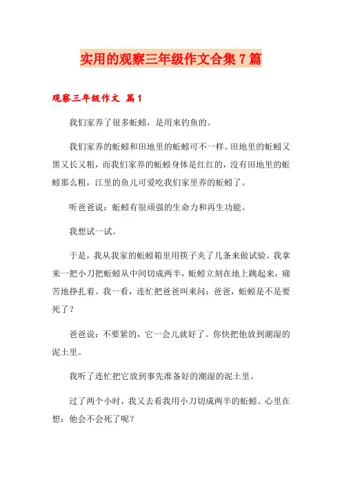 实用的观察三年级作文合集7篇