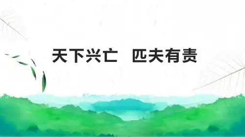 教科版《道德与法治》九年级上册第三课《天下兴亡 匹夫有责》精美课件(共22张PPT)