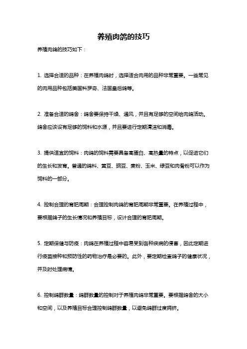 养殖肉鸽的技巧