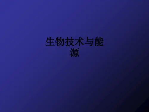 生物技术与能源ppt课件