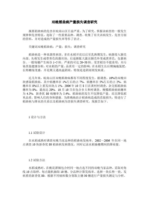 双晚稻曲病产量损失调查研究