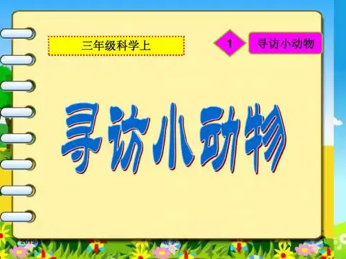 教科版科学三上2.1《寻访小动物》课件4