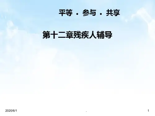 -残疾人社会工作PPT课件