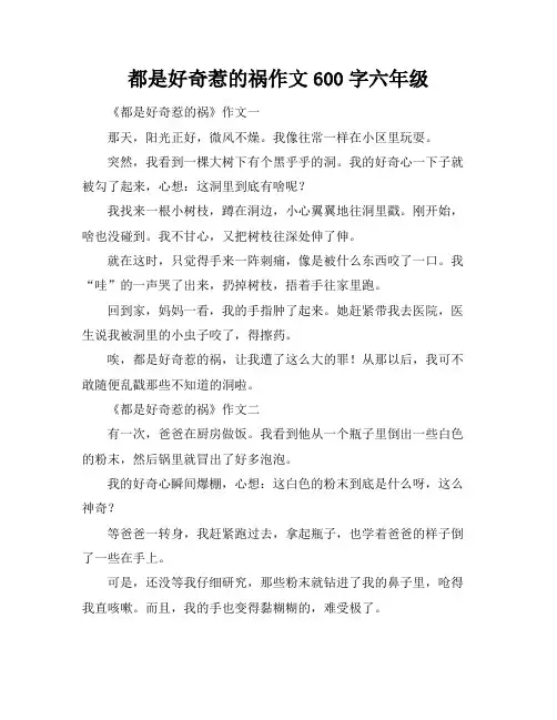 都是好奇惹的祸作文600字六年级