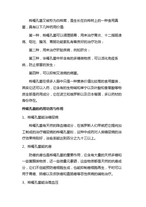 桦褐孔菌的功效与作用