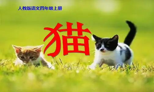 小学新课标人教版语文四年级上册《15 猫 》精品PPT课件