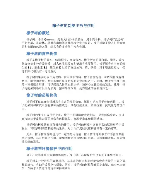 橡子树的功能主治与作用