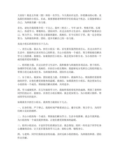 竞选小组长发言稿五年级