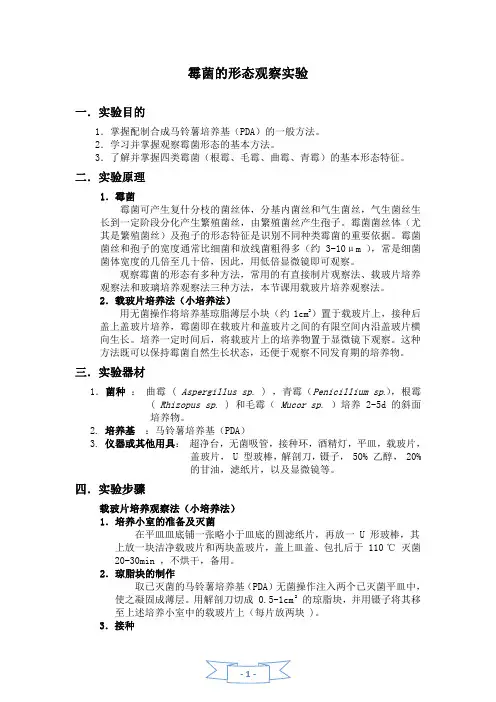 霉菌形态观察实验