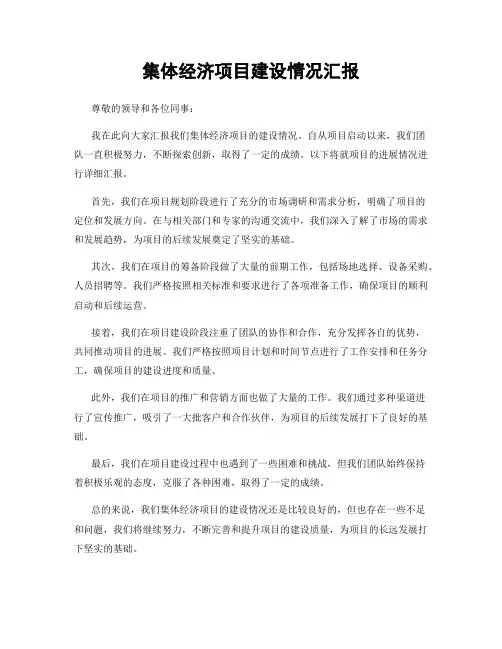 集体经济项目建设情况汇报