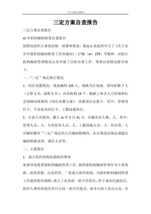 活动方案 三定方案自查报告