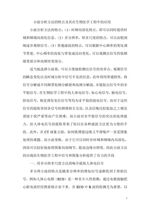 小波的在生物医学工程中的应用报告