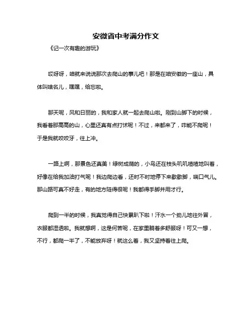 安微省中考满分作文