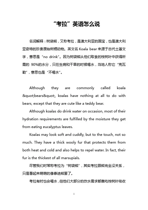 “考拉”英语怎么说