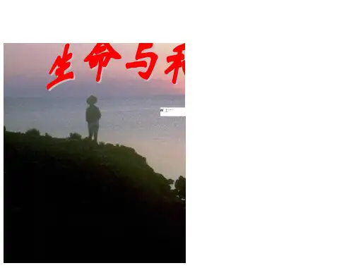 第6课生命与和平相爱课件苏教九级下6