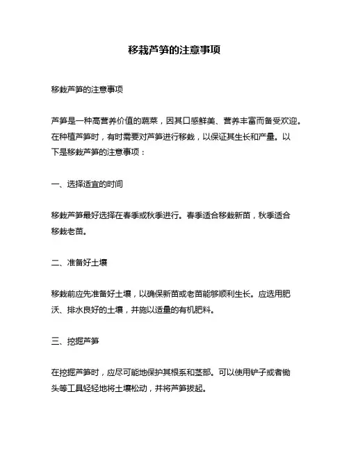 移栽芦笋的注意事项