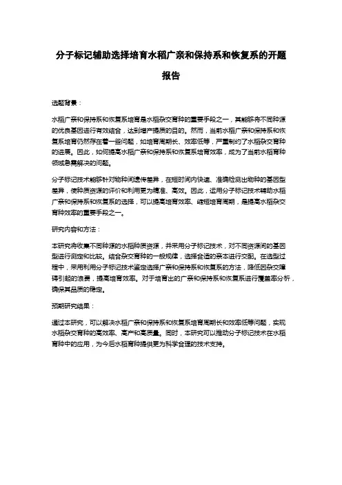 分子标记辅助选择培育水稻广亲和保持系和恢复系的开题报告