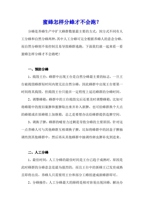 蜜蜂怎样分蜂才不会跑？
