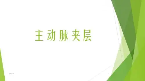主动脉夹层  ppt课件