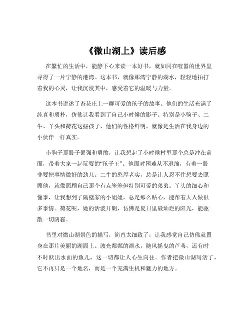 《微山湖上》读后感