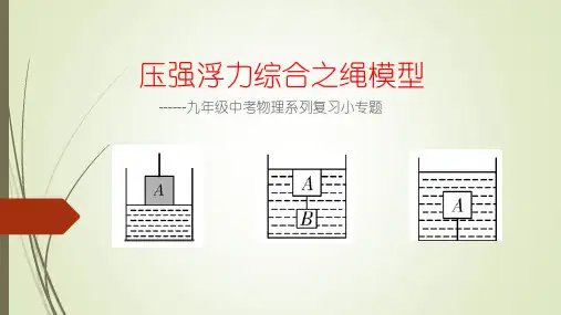 中考物理复习 压强浮力综合之绳模型