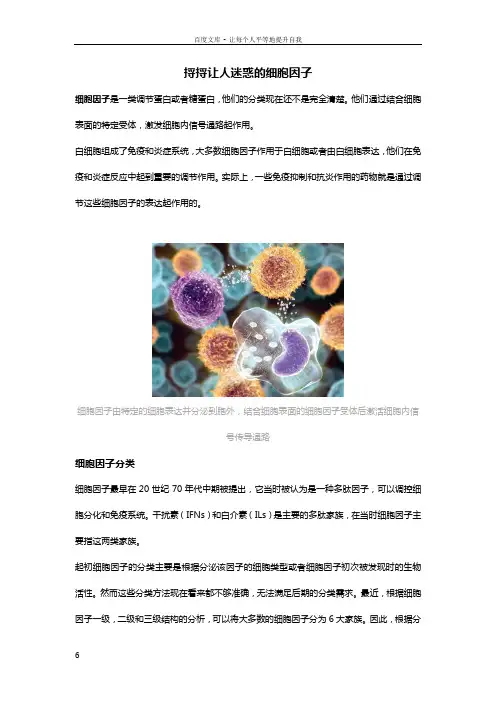 细胞因子详解