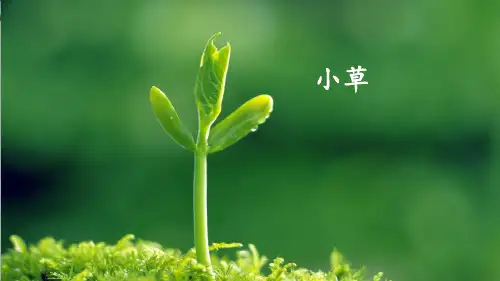 【部编版】人教部编版二年级语文(下)第二课 找春天 课件
