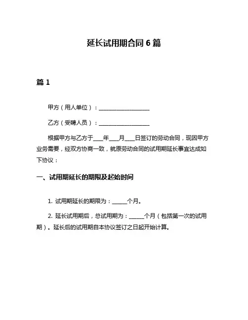 延长试用期合同6篇