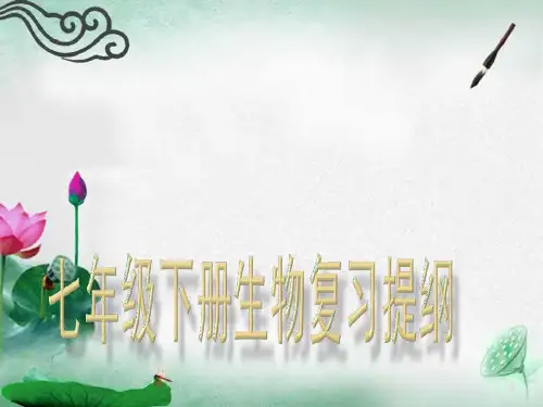 七年级下册生物复习提纲