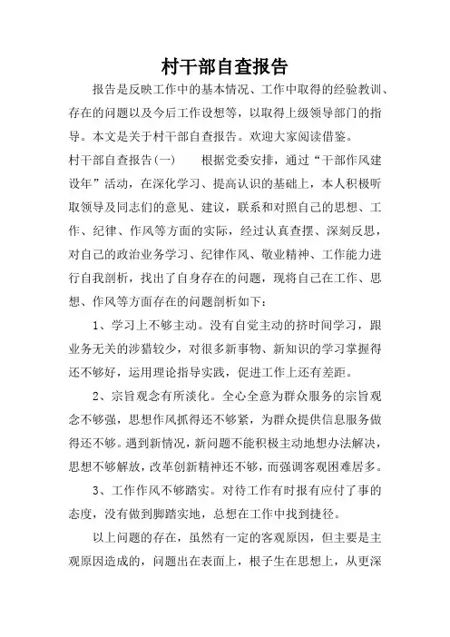 村干部自查报告