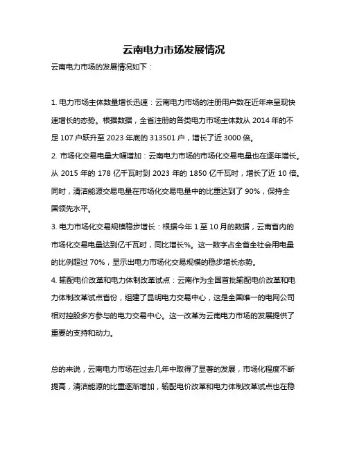 云南电力市场发展情况