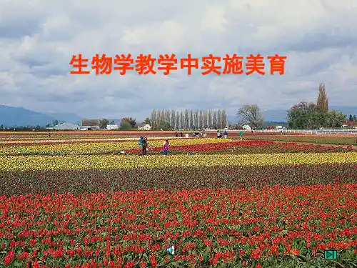生物学教学中实施美育