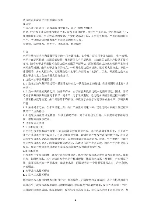 边底水油藏水平井化学堵水技术