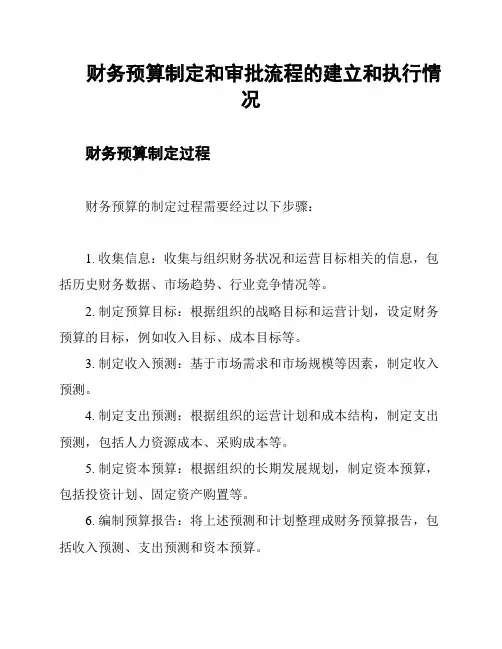 财务预算制定和审批流程的建立和执行情况