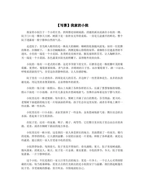【写景】我家的小院