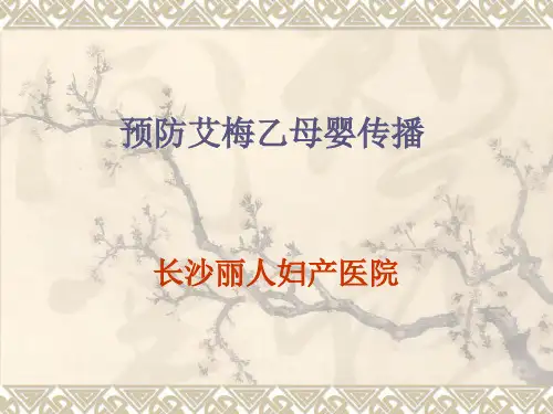 艾梅乙课件.ppt