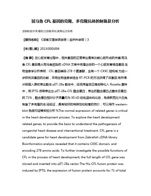 斑马鱼CFL基因的克隆、多克隆抗体的制备及分析