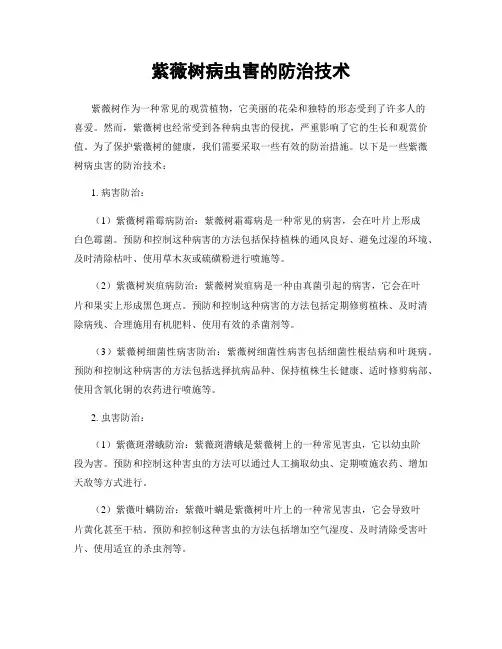 紫薇树病虫害的防治技术