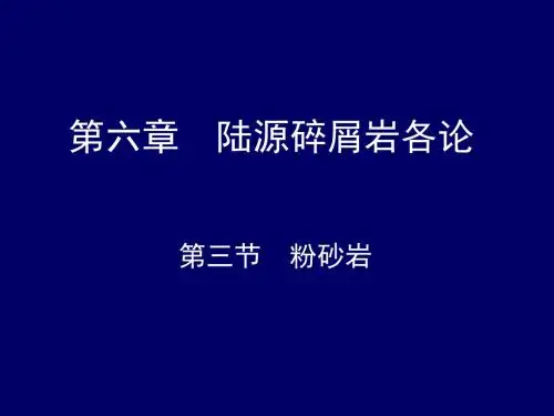 第12讲陆源碎屑岩各论粉砂岩与粘土岩