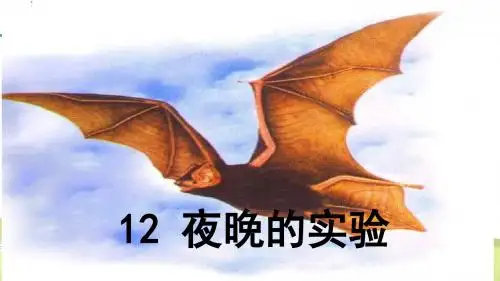苏教小学语文六年级下册《12夜晚的实验》PPT课件 (1)
