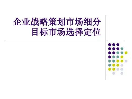 企业战略策划市场细分目标市场选择定位