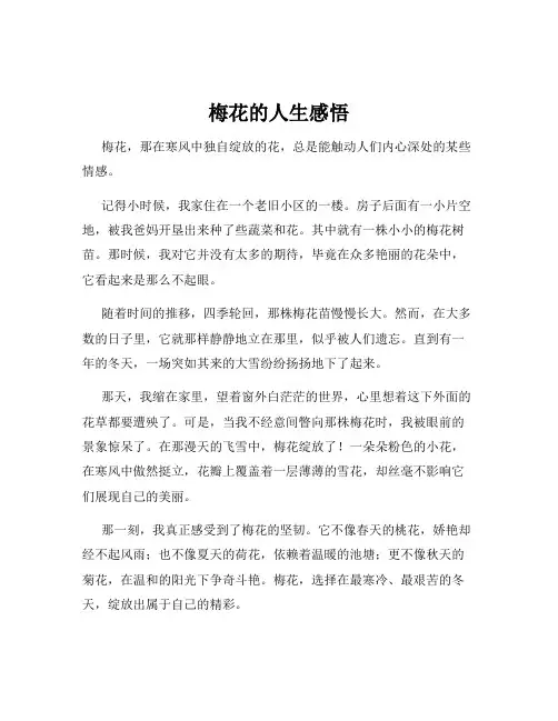 梅花的人生感悟