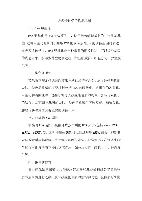表观遗传学的作用机制