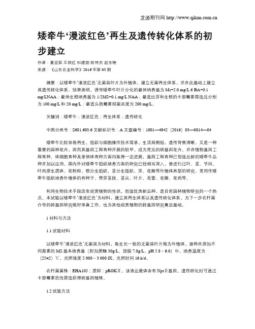 矮牵牛‘漫波红色’再生及遗传转化体系的初步建立