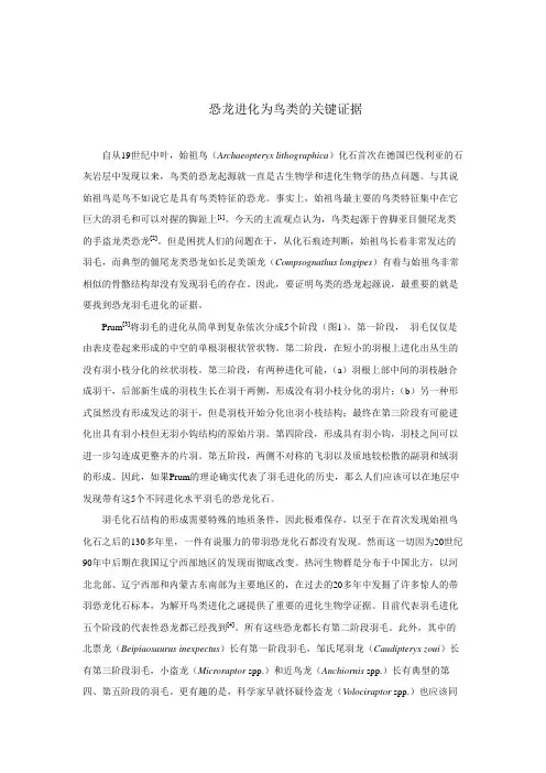 e03_恐龙进化为鸟类的关键证据