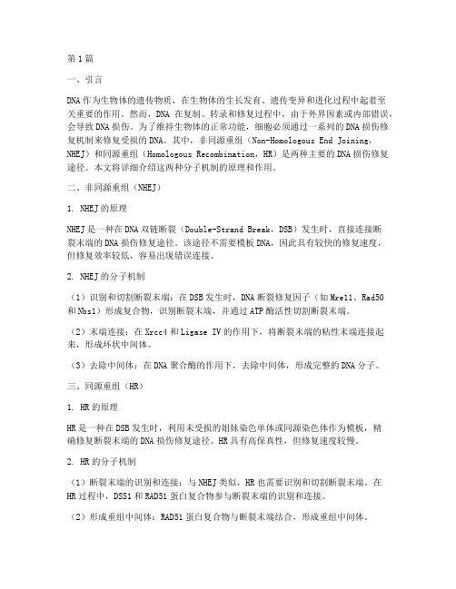 dna损伤修复非同源及同源重组分子机制(3篇)