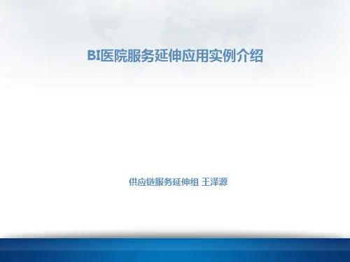 商业智能(BI)I应用实例介绍